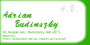 adrian budinszky business card